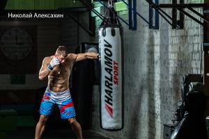 Работа на боксёрском мешке — Николай Алексахин