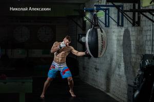 Работа на боксёрском снаряде — Николай Алексахин